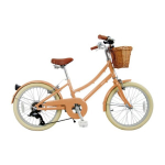 Laste jalgratas BOBBIN Brownie JR, 20" Caramel