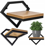 Metallist rippuv lillealus seinale Loft stiilis riiul lilledele taimedele