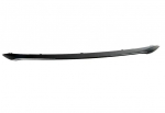 Bmw F32 F33 F36 Eesmine Kaitseraua Keskosa Originaal 51117432621