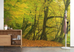Rasch tapeet 363753 fototapeet fliiselkangal rohelise ja pruuni metsamotiiviga kollektsioonist Magicwalls 2,65 m x 3,71 m (pikkus x laius)