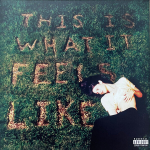 Gracie Abrams - This Is What It Feels Like (vin&uuml;&uuml;lplaat, LP)