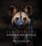 Remembering African Wild Dogs, Remembering African Wild Dogs