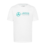 Meeste suure logoga valge T-s&auml;rk Mercedes AMG Petronas F1 701227037-002 valge