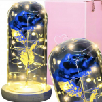 Happy people andy sinine igavene roos klaaskupli all