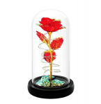 LED-valgustusega klaaskuplis olev roos Happy People Andy