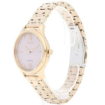 Citizen Eco-Drive EM0503-75X EM0503-75X