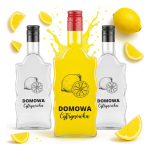 10x 500ml klaaspudelit "fala" kirjaga "homemade lemons"