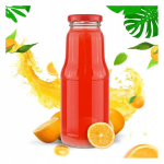 Puuvilja klaaspudel mahlade, siirupite jaoks, 300ml