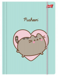 A4-mapp elastse Pusheen Mintiga, lamineeritud