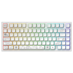 Dark Project ALU81A Terra Nova White, G3MS Moonstone Switch, RU