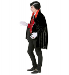 "VIKTORIAANI VAMPIIR" (vestiga jakk, keep, mantl)