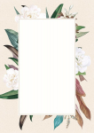 Diploma Camelia A4 170 g/m&sup2;