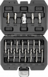 Yato Yt-04584 komplekt vigastatud sisekruvide jaoks