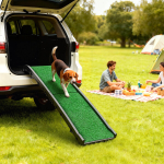 Koertele m&otilde;eldud ramp, 155x38.5x15.5 cm, must, plast