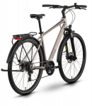 Jalgratas Raymon Zayn Comp 2026 taupe hall-must XL