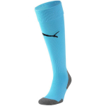 Puma Team Liga Socks Core jalgpallisokid, sinised 703441 40, 43-46