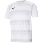 Puma teamVISION meeste s&auml;rk, valge 704921 04