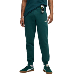Puma ESS no.1 Logo Sweatpants FL meeste p&uuml;ksid, rohelised 682607 75, S