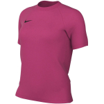 Nike Dri-Fit Park VIII naiste s&auml;rk, roosa HV8178 616