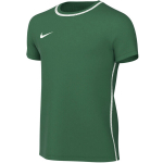 Nike Dri-Fit Park 26 laste T-s&auml;rk, roheline HM7134 302