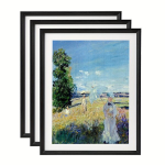 Fotoraamid, 3 tk,, 16&times;20【40,6&times;50,8cm】