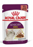 Royal Canin Sensory Smell Gravy konserv kassidele, 12 x 85 g