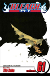 Bleach, Vol. 61: The Last 9 Days, 61