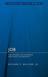 Job: The Mystery of Suffering and God's Sovereignty Revised edition