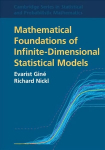 Mathematical Foundations of Infinite-Dimensional Statistical Models Revised edition