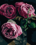 Maalimine numbrite j&auml;rgi - maalimise komplekt 40x50 cm. "Roses in a vase"