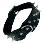 Koerjaht - NC - Gloria - Must - 70 cm - N&ouml;&ouml;pidega