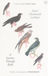Raptor: A Journey Through Birds