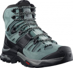 Naiste matkajalatsid SALOMON QUEST 4 GTX, sinised, 38