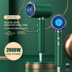 2400W Professionaalne F&ouml;&ouml;n Difusori ja Ioonhooldusega., Žalias