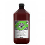 Taastav &scaron;ampoon Davines NaturalTech Renewing Shampoo, 1000 ml
