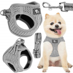 Survevaba koera ja kassi rakmete komplekt Springos PA0236, S 6-8 kg + 150 cm jalutusrihm, hall