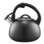 Ambition veekeetja Hudson, 3 l