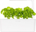 Click and Grow Smart Garden Refill 3 pakendit, Basiilikut