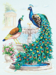 Tikkimiskomplekt Magic Needle "Peacocks" 210-213
