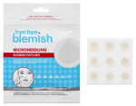 Bye Bye Blemish Vistrike eemaldamise plaastrid