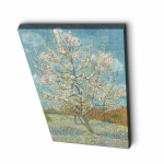 Reproduktsioon Roosa virsikupuu