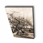 Reproduktsioon The Parsonage Garden at Nuenen in Winter