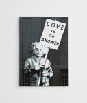 Reproduktsioon Love is The Answer