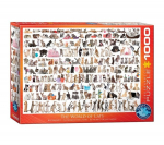 Pusle Eurographics, 6000-0580, The World of Cats, 1000 tk