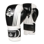 Poksikindad Dbx Bushido 12oz - universaalsed, treeninguks