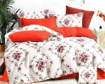 Eurofirany flanellist voodipesukomplekt PFY-99, 160x200 cm, 4-osaline