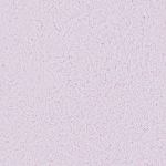 Vedeltapeedid optima 061, 4tk