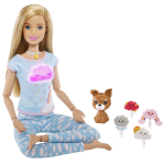 Barbie nukk koos meditatsiooni tarvikutega Mattel Barbie Wellness &bdquo;Breath With Me&ldquo;, GNK01