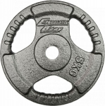 Ketas raskus EbFit, 5 kg