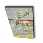 Reproduktsioon &Otilde;itsva mandli oks